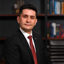 Costel Negricea